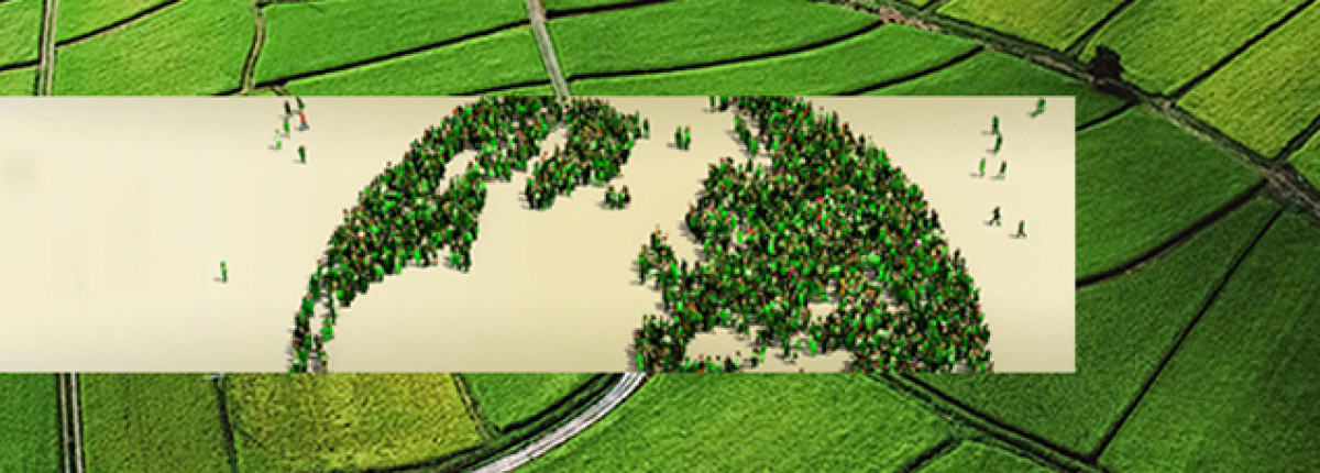 Vietnam’s Agrifood Export Potential and Key Strategies for Success