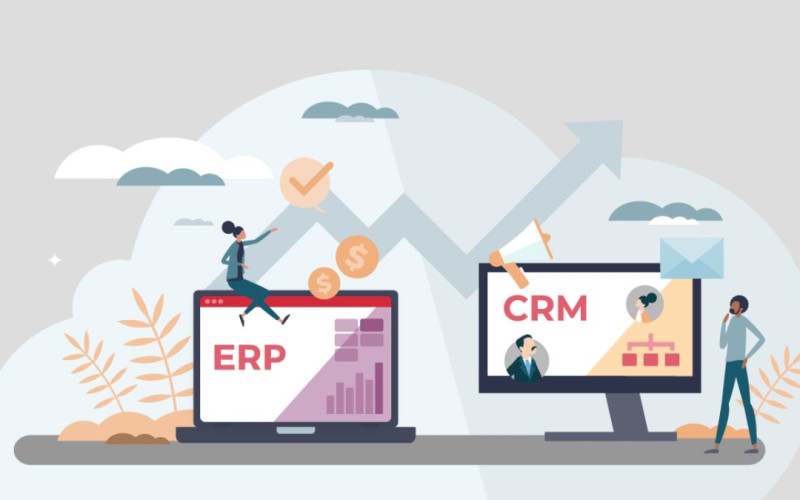 Optimize Business Management, Don't Forget Employee Experience: Lessons from SAP, CRM, ERP Deployment