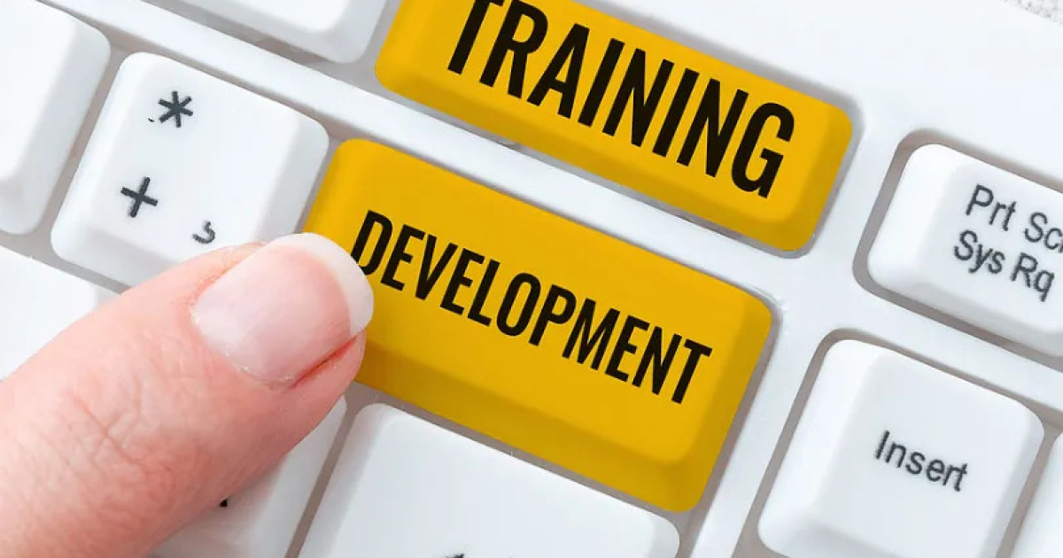 Training And Employee Development Services